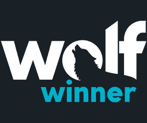 Wolf Winner Casino Login and Get All Exclusive Bonuses (+3 bonus codes) 4